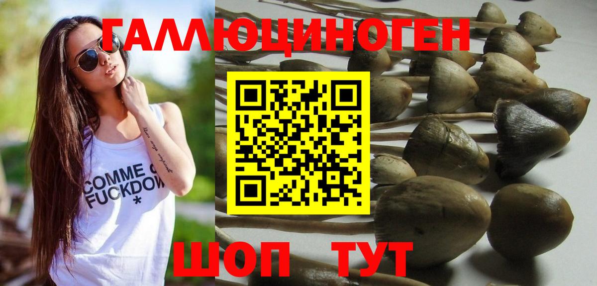 Галлюциногенные грибы MAGIC MUSHROOMS  Вход с VPN  Светлоград 